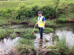 stream litter cleanup