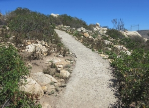 Trail to the Top