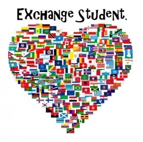 Exchange heart