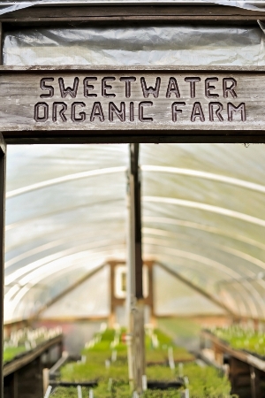 Welcome to Sweetwater Farm