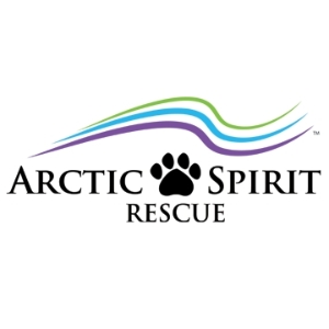 Arctic Spirit Rescue