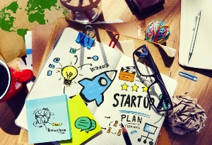 Business Development - Start-up