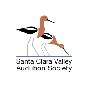 Santa Clara Valley Audubon Society