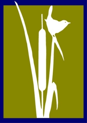 SVT logo