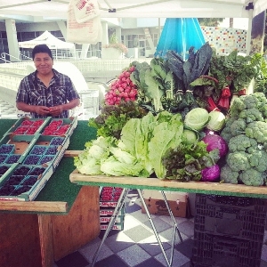 Market day at the EHFM