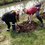 Planting Volunteers