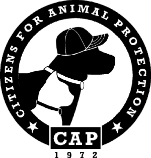 Citizens for Animal Protection (CAP) volunteer opportunities |  VolunteerMatch
