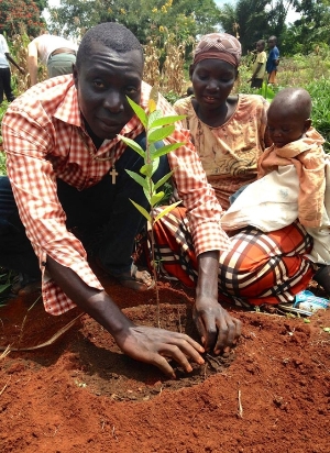Planting trees in Uganda
