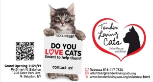 Pets for Adoption at Tender Loving Cats, Inc, in North Babylon, NY