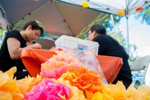 Dia de los Muertos Paper Flower Workshop