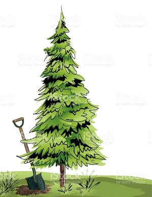 Pine Tree logo