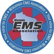 WEMSA Logo