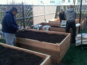 Filling new beds