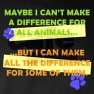 Make a difference for the animals