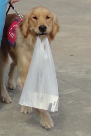Gunner carrying a shopping bag