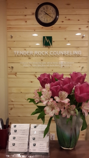 Tender Rock Counseling Office