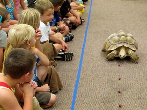 Reptile program at the library