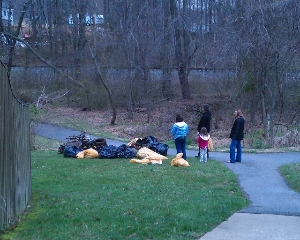 Productive cleanup behind a townhouse community