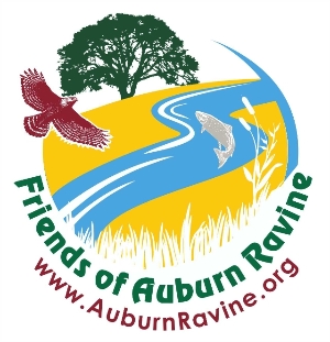 Friends of Auburn Ravine