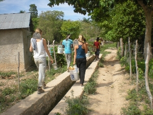 Planting Trees in Haiti