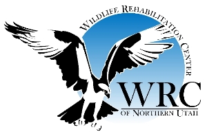 Wildlife Rehabilitation Center of Northern Utah