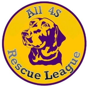 ALL 4's Rescue League Outreach