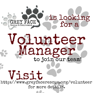 Volunteer Manager