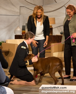 Dogs on Deployment on the Queen Latifah Show