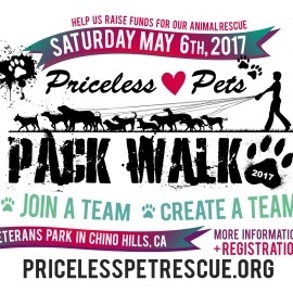Priceless Pet Pack Walk 2017