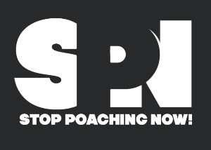 SPN! Logo