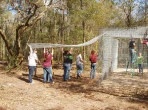 Volunteers building an animal habitat