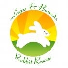 Leaps & Bounds Rabbit Rescue, Inc.