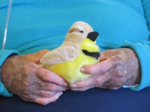 Participant holding plush bird
