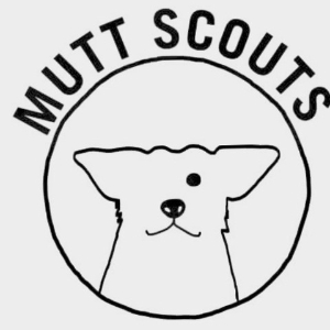 The Mutt Scouts
