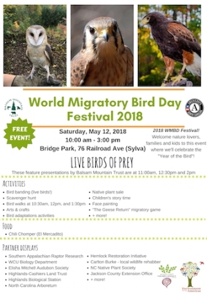 World Migratory Bird Day 2018