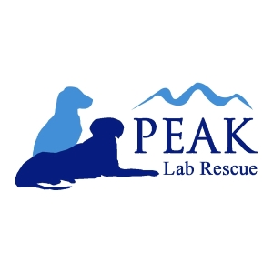 Peak Lab Rescue Logo