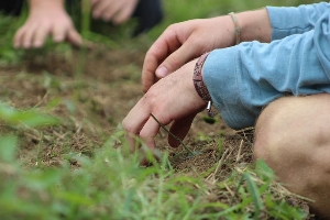Hands in the soil