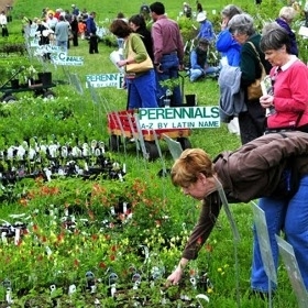 Native Plant Sale Volunteers