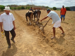 Consult farmers in Brazil