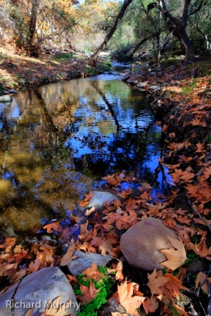 The Escondido Creek