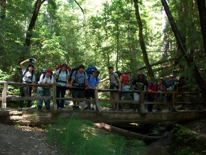 Camp Krem Hiking Trail