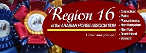 Region 16 banner