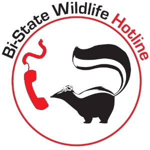 Wildlife Hotline Logo