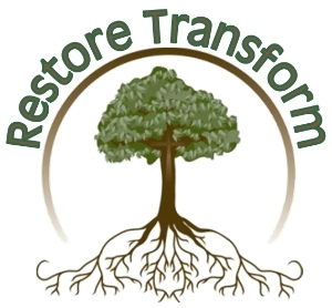 RestoreTransform
