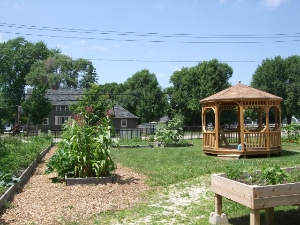 Olde North Community Garden
