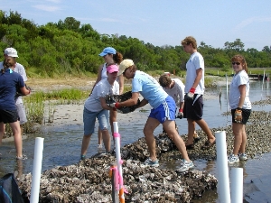 Volunteers Building an Oyster Reef