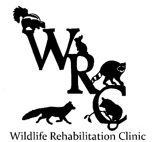 Wildlife Rehabilitation Clinic