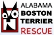 Alabama Boston Terrier Rescue