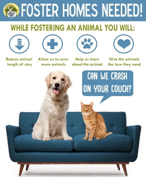 Fostering saves lives