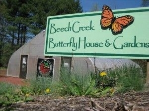 Beech Creek Butterfly House and Gardens